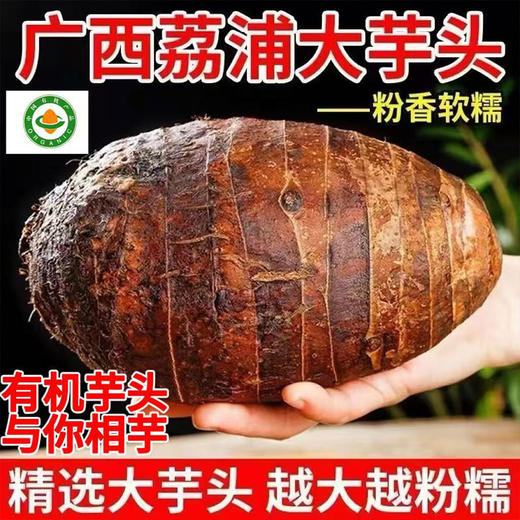 【厂商直发】广西有机荔浦大芋头香芋3斤/5斤粉嫩甜糯包邮 商品图2
