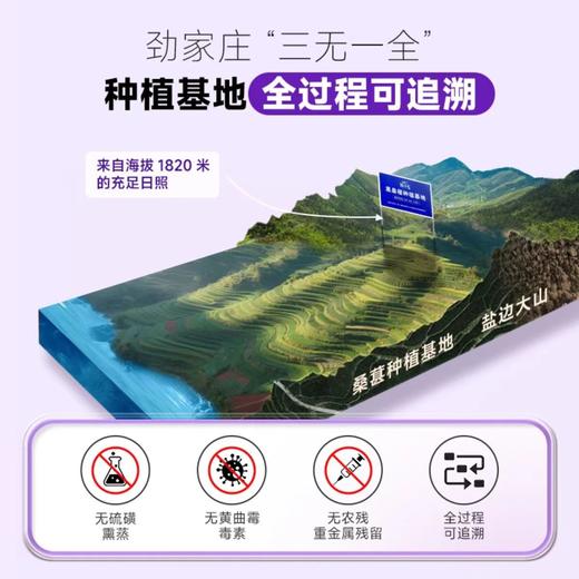 黑桑之乡-黑桑葚干150g 商品图4