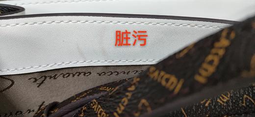 6942199079419 沙驰satchi 女包经典老花PVC/配皮单肩包时尚小众设计【三八女友礼物】19.8cm×8cm×14.5cm 商品图6