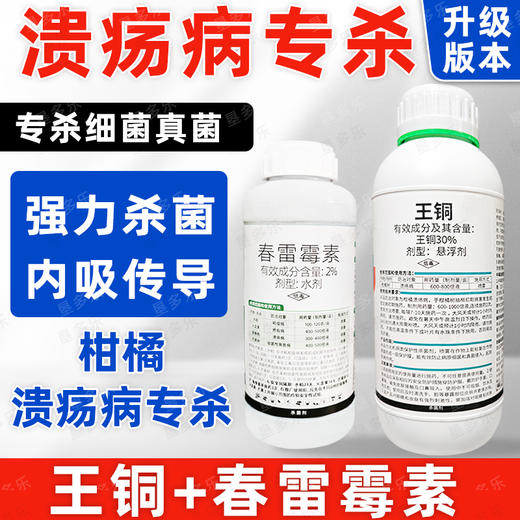 柑橘溃疡病专杀王铜春雷霉素悬浮剂油铜锰专用细菌杀菌剂 商品图1