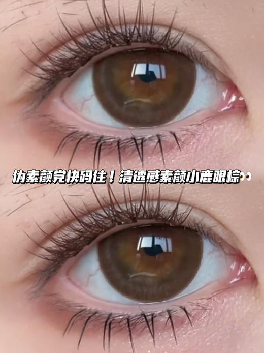 EGG溏心茶叶蛋巧·半年抛型 商品图0