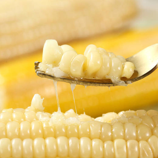 【MDL】麦臻选三色糯玉米（6穗装）1.2kg 商品图2