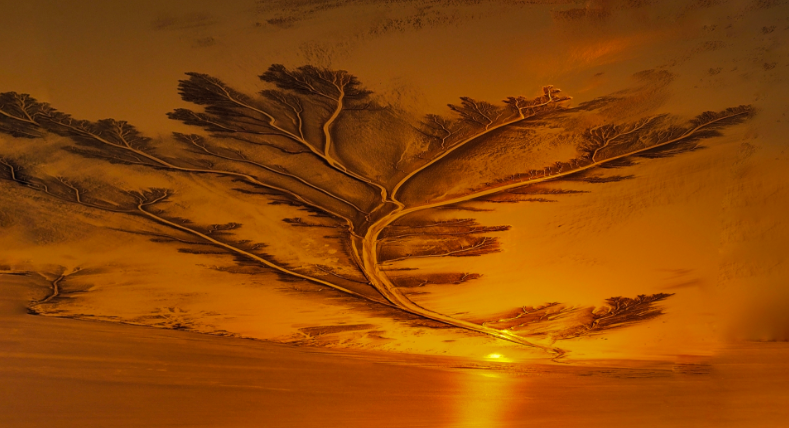 【活动报名】自然奇观“潮汐树”大解码+航拍镜头里的钱塘江之美