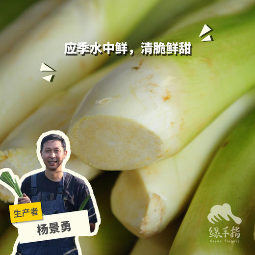 生态湖北茭白 | 合作生产*Eco-Zizania | Coproduction 商品图0
