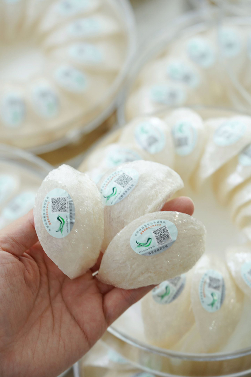 马来西亚原盏燕窝