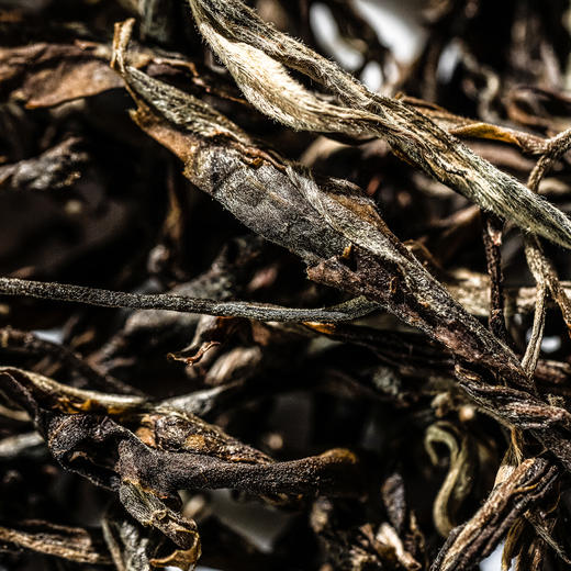 【元昌号】十二茶山风味大单株古树老曼峨品鉴装7克/盒 商品图1