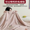 双层加厚冬季毛毯 拉舍尔毯秋冬季盖毯 沙发午睡毯 单人宿舍毯子 商品缩略图2