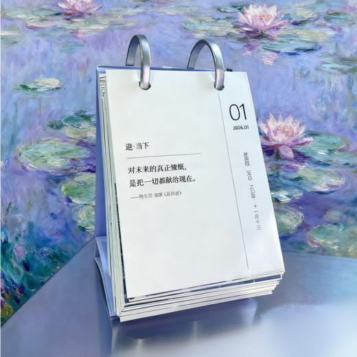 2026年「迎」日历 （超治愈读书台历 文艺风格创意趣味日历 桌面日历小摆件  创意礼品 ） 商品图7