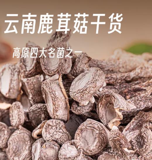 鹿茸菇（盒装）80g 商品图1