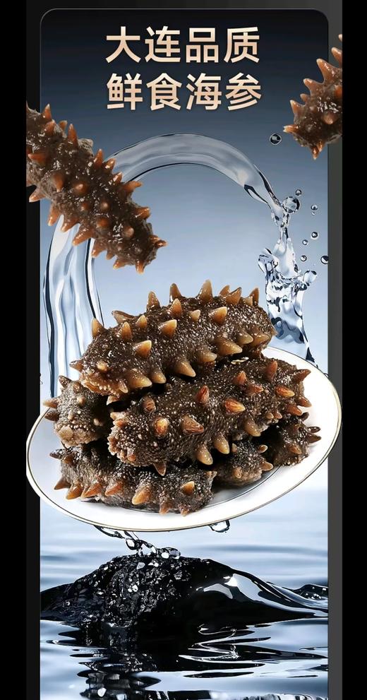 【大连海参】海朴即食海参500g/袋大连海参特产 商品图3