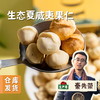 生态夏威夷果仁 200g/罐 | 合作农友生产，产自云南西双版纳，生产者：秦先荣 &【公平贸易农人定价】 商品缩略图0