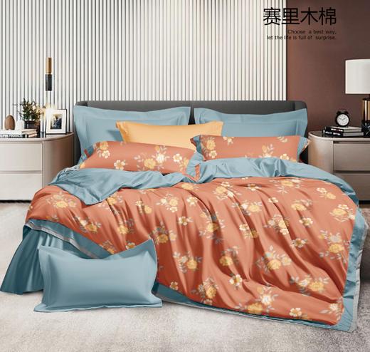 全棉数码印花陶瓷磨毛四件套G117900067 商品图3