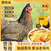 D【好念头品牌】始祖黑鸡黄油老母鸡500天的成长期1.2kg 商品缩略图0