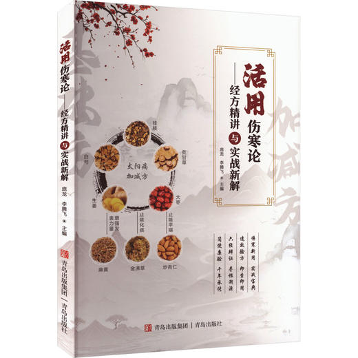 活用伤寒论：经方精讲与实战新解 商品图0