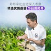黑桑之乡-黑桑葚干150g 商品缩略图3