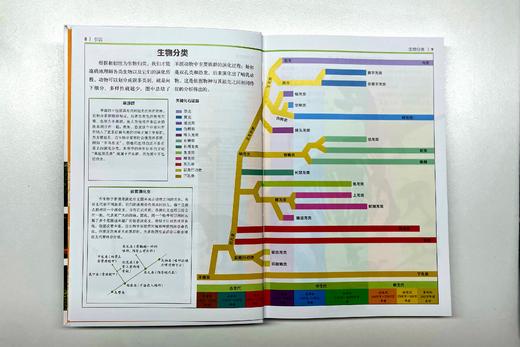 《DK博物系列：恐龙与其他史前生物》-分销 商品图3