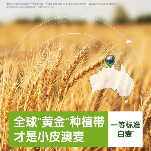 小皮面条类合集 商品图1