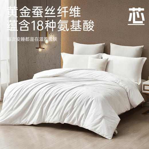 巴马A级双宫茧桑蚕丝被 商品图2