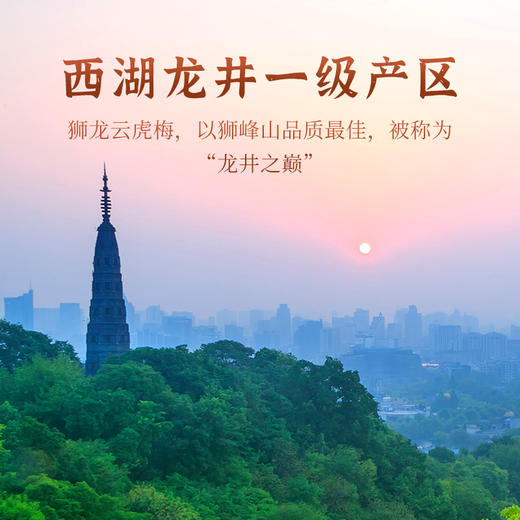 【店长推荐】云顶桂花龙井特级红茶125g礼盒装 商品图4