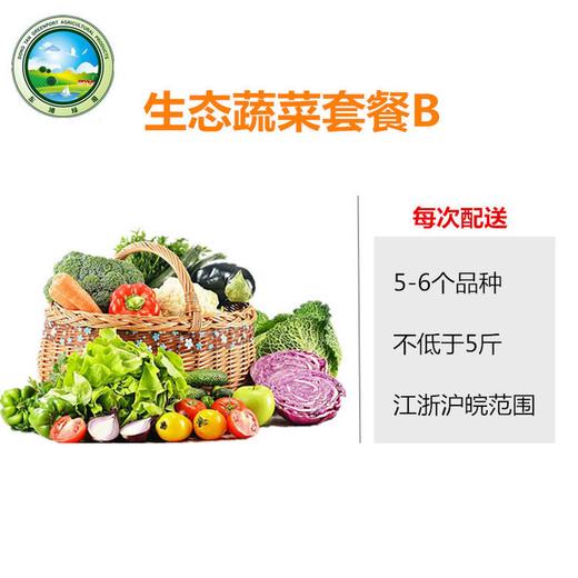 【东滩绿港】生态蔬菜套餐B 商品图0