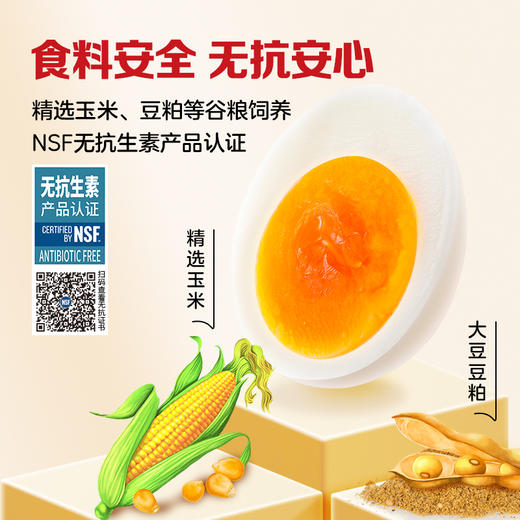 香满园初生鸡蛋礼盒1.35KG 商品图2