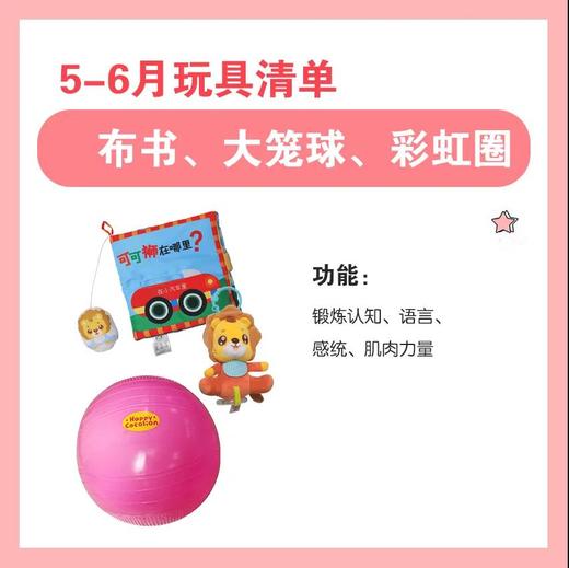 可可狮0~6月龄启蒙包 早教包 宝宝视听感统综合训练包9件 商品图4