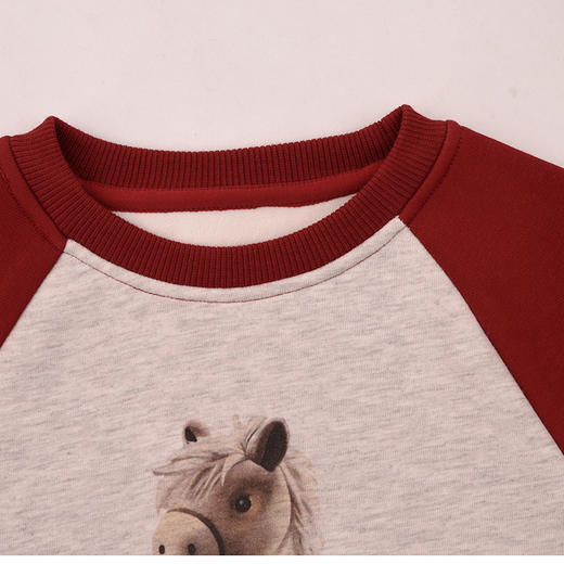 棉果果冬季新品男童复合奥利绒插肩拼接保暖加绒圆领套头卫衣M412180425754 商品图2