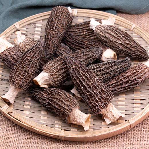 【自然烘干保留纯正菌香】鲜珥家羊肚菌50g/包 商品图2