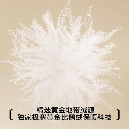 【极地冠军系列】都市丽人女士保暖衣套装加拿大鹅绒保暖LWH1F3 商品图4
