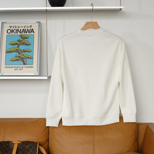 太浪甄选秋季福利款6033 商品图3