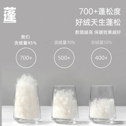 西伯利亚进口立体95白鹅绒被(克洛里) 商品图3