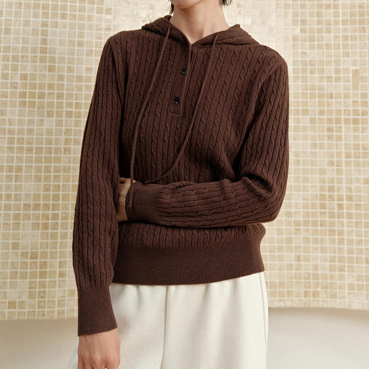 NEELLY纳俪商场同款冬新款宽松连帽绞花套头针织衫女舒适休闲上衣N25102A01030 商品图2