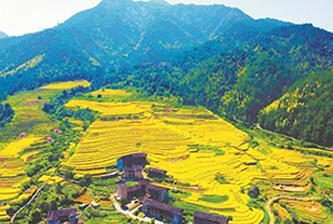 潮州+永定+厦门动车四天游 商品图3