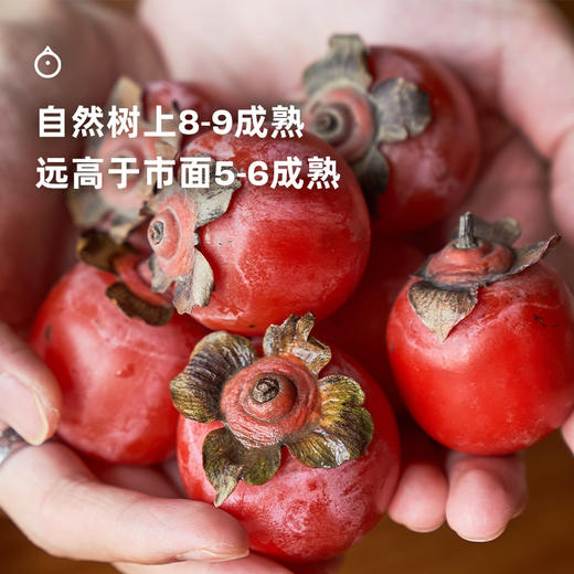 企鹅市集|河南荥阳玫瑰蜜柿 20枚/42枚装 浓稠似蜜 软甜溏心玫瑰香 商品图1