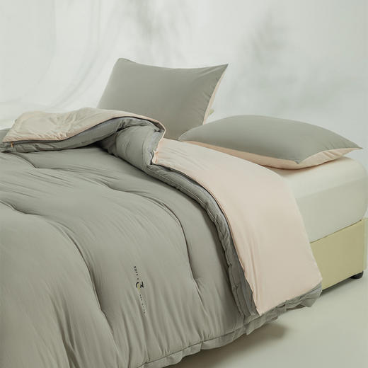 顶柔一品蚕柔可水洗二合一蚕丝控温被BX2265 商品图6