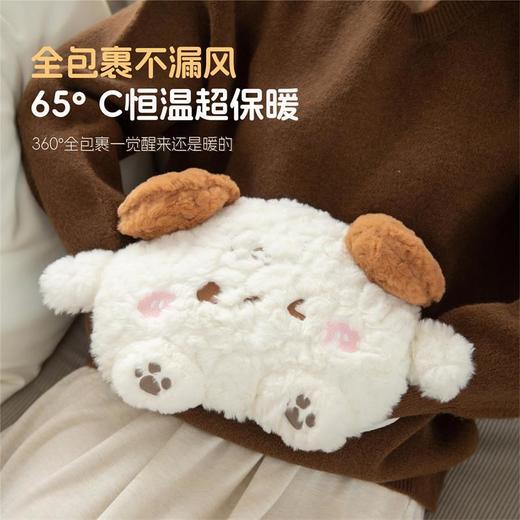 秋冬【国标电热水袋】充电双插手暖手宝 卡通毛绒可拆暖肚子可爱暖手袋  商品图2