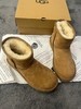 【只可换码 不退货】UGG直筒平口经典短筒雪地靴（XR） 商品缩略图4