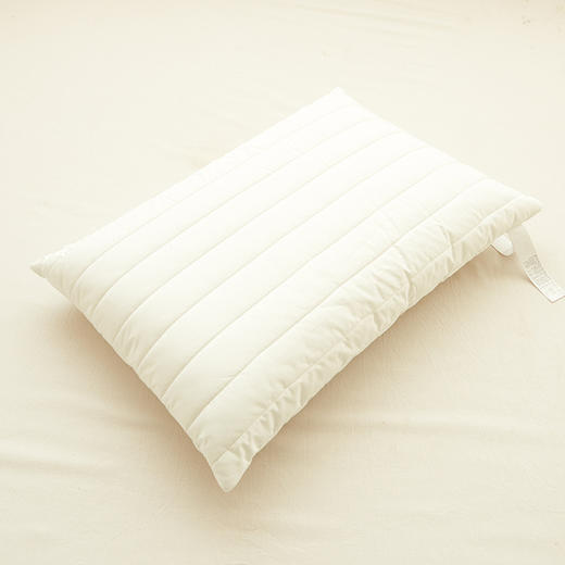 【全棉绗缝枕芯A类】夹棉枕芯全棉柔软枕头民宿枕芯纯色简约成人枕A类 商品图4