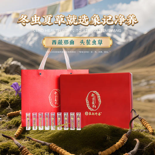 【象记】冬虫夏草2根/罐*20罐装-礼盒装（40根）10克/盒 商品图0
