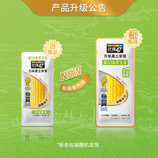 北纬47鲜食玉米  低GI水果玉米开袋即食鲜脆多汁 商品图6