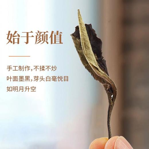 云南古树白茶景谷月光白茶叶高山天然老白茶散装50g茶叶自饮 商品图1