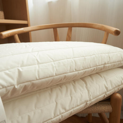 【全棉绗缝枕芯A类】夹棉枕芯全棉柔软枕头民宿枕芯纯色简约成人枕A类 商品图2