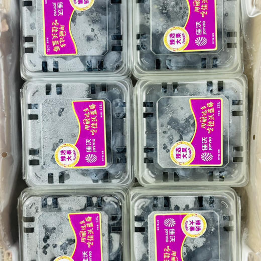 大果秘鲁 新鲜蓝莓   6小盒/125g  护眼小能手 8甜2酸，脆度可以 会带点酸 商品图2