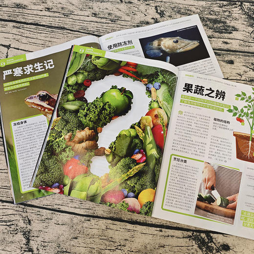 万物+博物 杂志订阅 1年12期 组合订阅共24本 商品图4