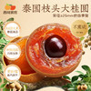 【今年的新货！】西域美农 桂圆干大果1kg   肉厚核小壳薄无硫熏 罐装 平均果径≥25mm 商品缩略图0