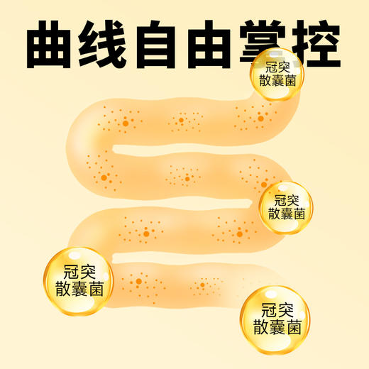 轻轻茶轻松1克金花黑茶  国奖速溶养生茶便携装 商品图5