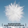 【极地冠军系列】都市丽人男士保暖背心加拿大鹅绒黑科技FWHFA5 商品缩略图4