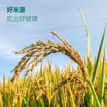 甬粮超凡五常大米 五常稻香米20斤装东北大米真空包装26年新米 /粮油调味 /米 /稻花香米 商品图6