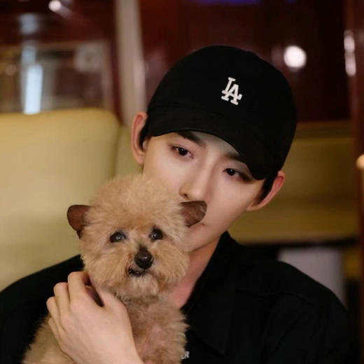 推荐 【MLB经典帽子合集】品牌授权直供 颜值神器  软顶大标/小标刺绣棒球帽/渔夫帽  显年轻/显脸小/颜值拉满/四季可戴  多色百搭  明星同款 日常通勤/逛街/休闲聚会/旅游【男女同款】 商品图14