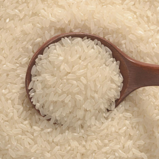 25年新米上市‼️【有机五常大米 原粮稻花香2号】双有机认证 久违的饭香 商品图2